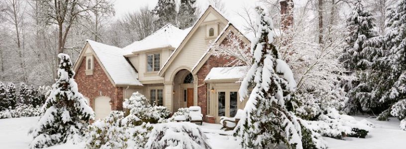 House and trees covered in snow