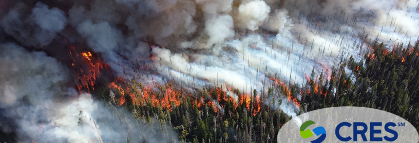 forest wildfire