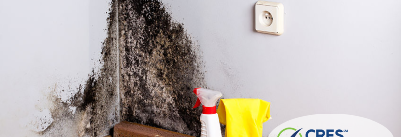 image of house with mold in real estate