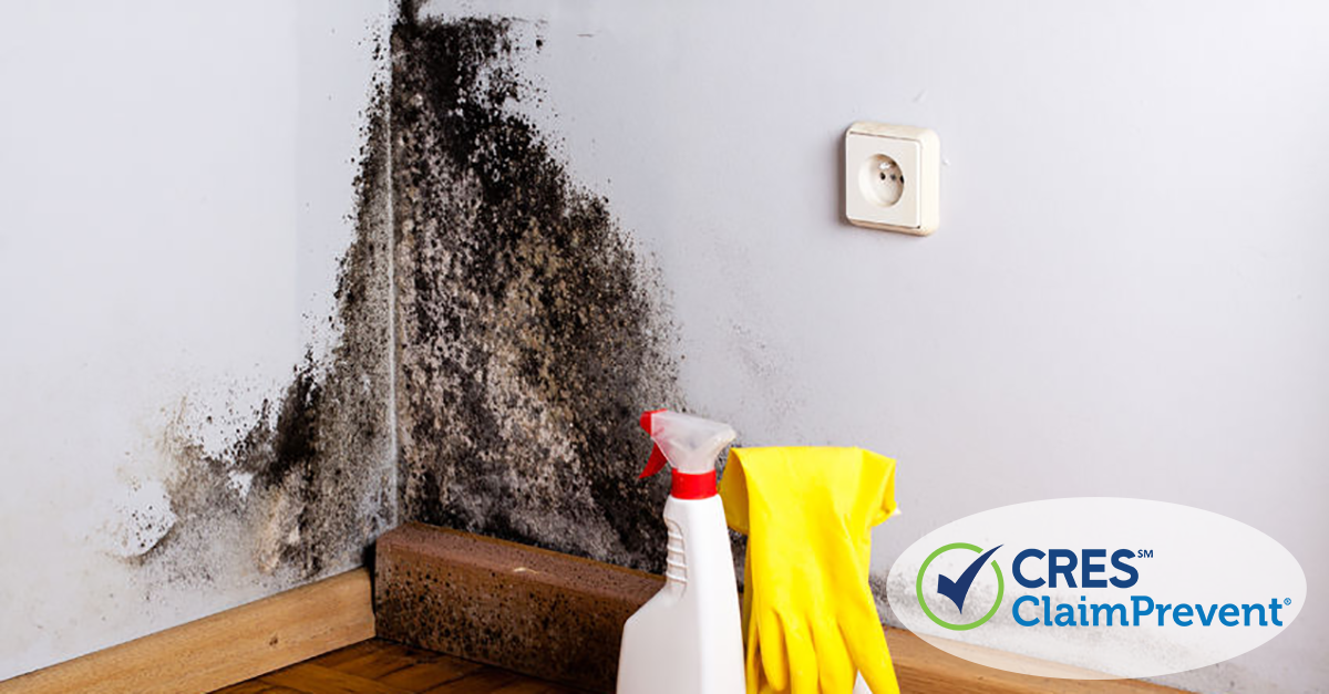 image of house with mold in the corner above the baseboard