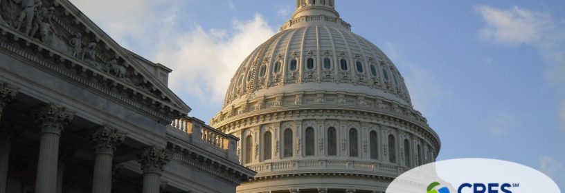 U.S. Capitol building in Washington D.C.