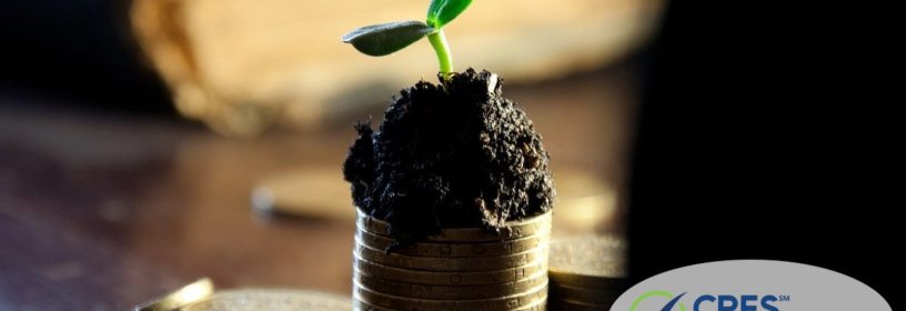 stack of coins with soil on top and a new plant growing out of it