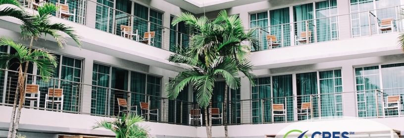 group of condo rentals surrounded by palm trees