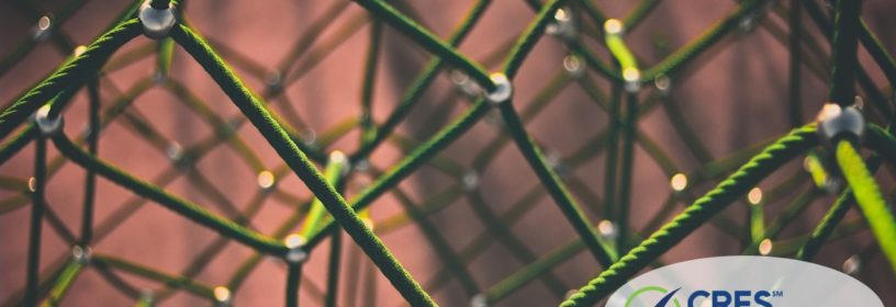 green netting framework outside of building