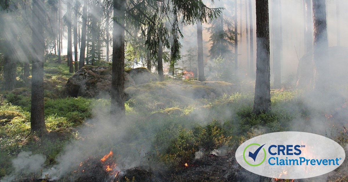 Remnants of a woodland fire with embers and smoke