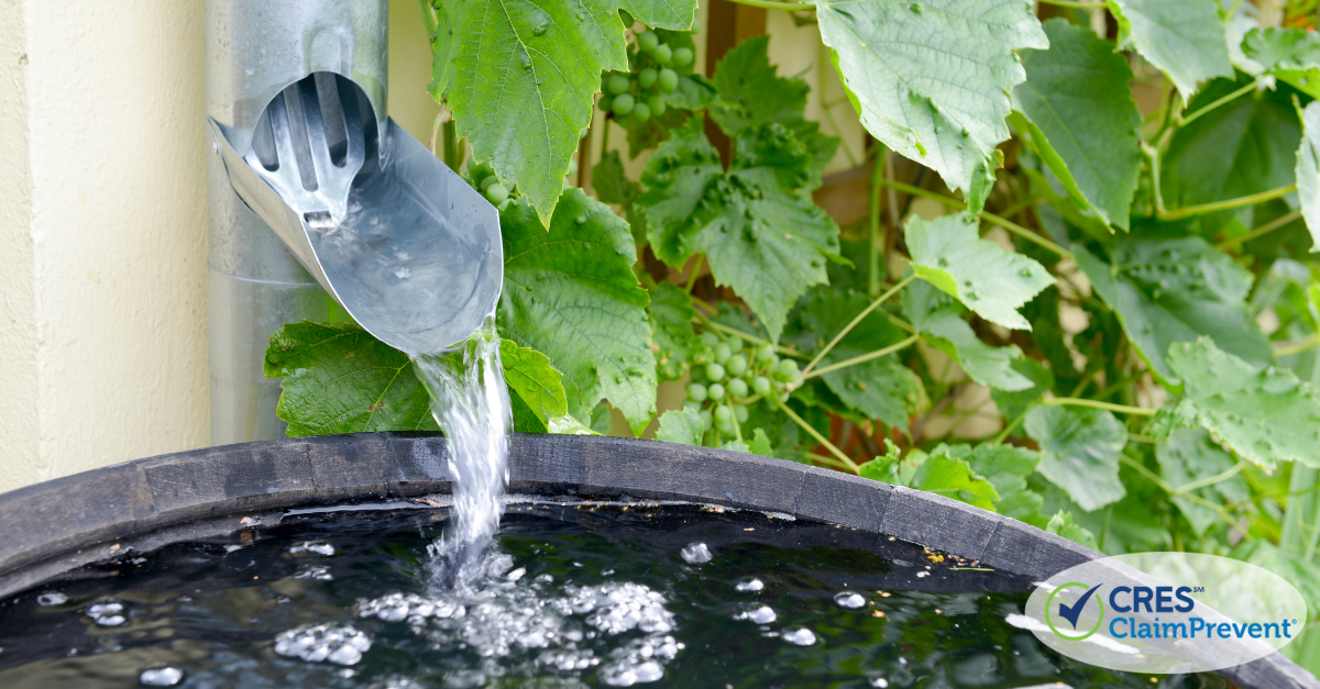 rain coming out of spout into barrel